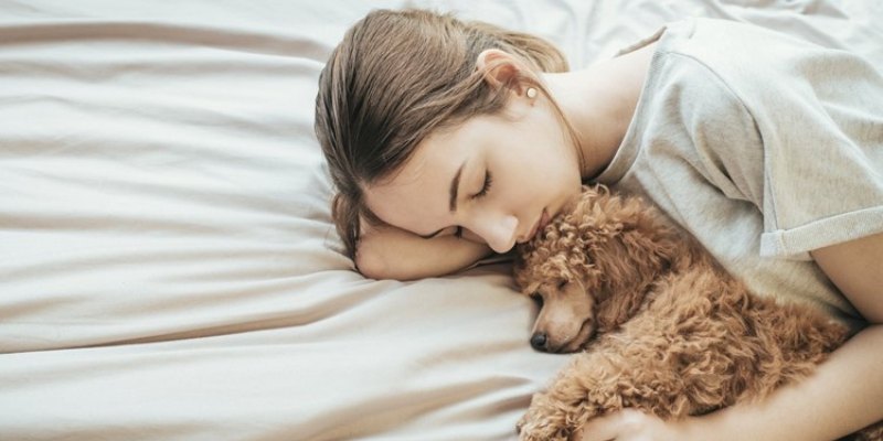 Chiêm bao là con chó con báo hiệu điều gì sắp xảy ra